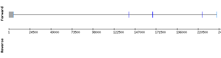 gene structure