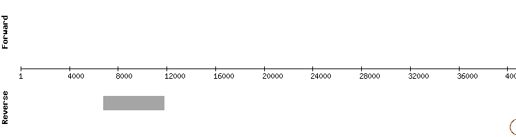 gene structure