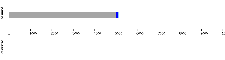 gene structure