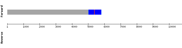 gene structure